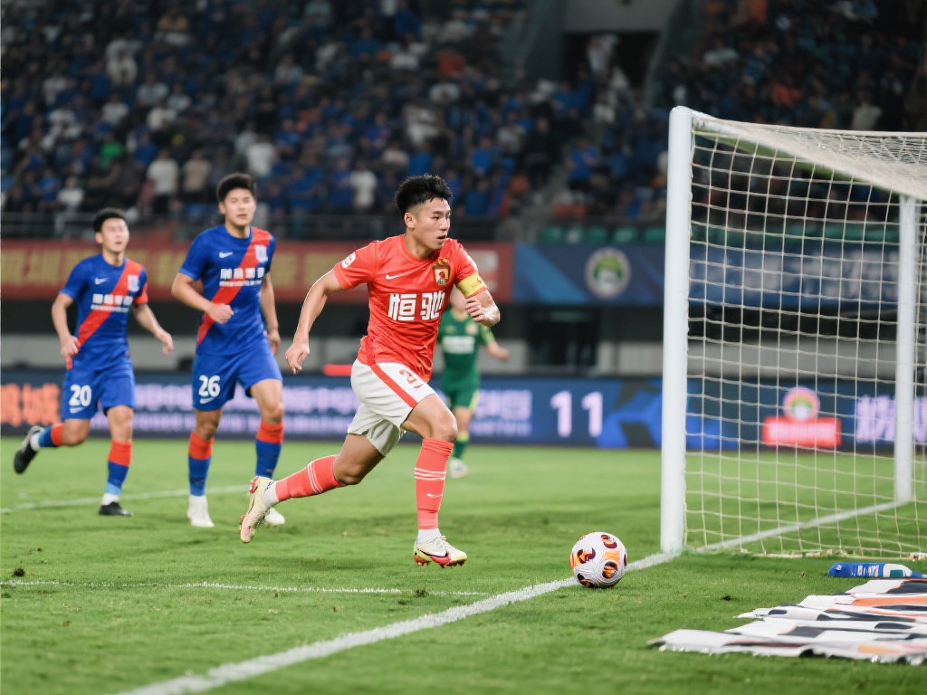 也能为球员 也能为球员